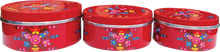 Load image into Gallery viewer, Jaipur - Hand Painted Stainless Steel Large Deep Storage Tin - Ruby Red