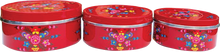 Load image into Gallery viewer, Jaipur - Hand Painted Stainless Steel Large Deep Storage Tin - Ruby Red
